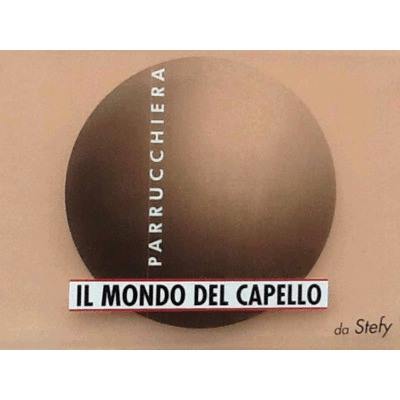Logo Il mondo del Capello